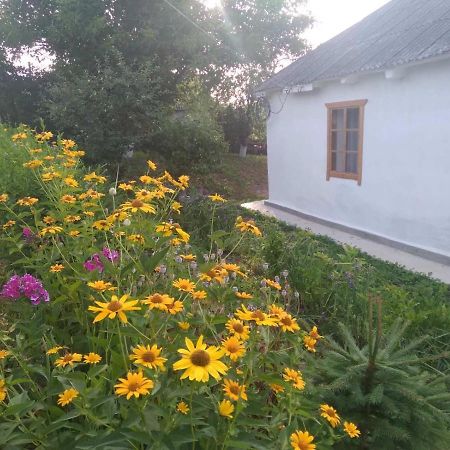 Соколине Гніздо Villa Dmitrenki Eksteriør bilde