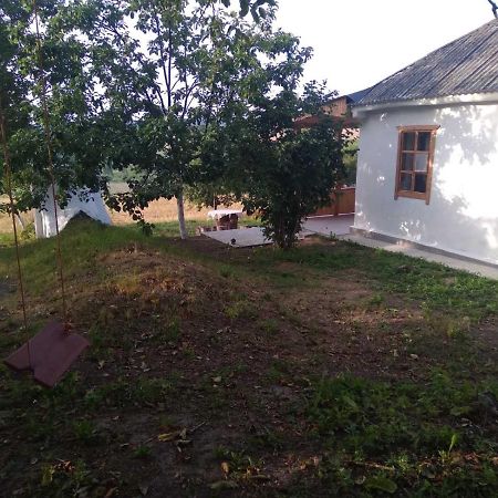 Соколине Гніздо Villa Dmitrenki Eksteriør bilde