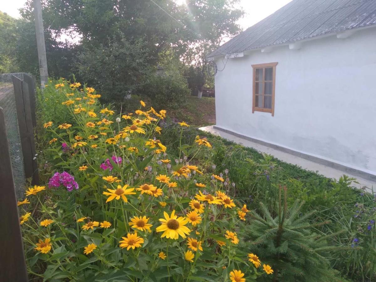 Соколине Гніздо Villa Dmitrenki Eksteriør bilde
