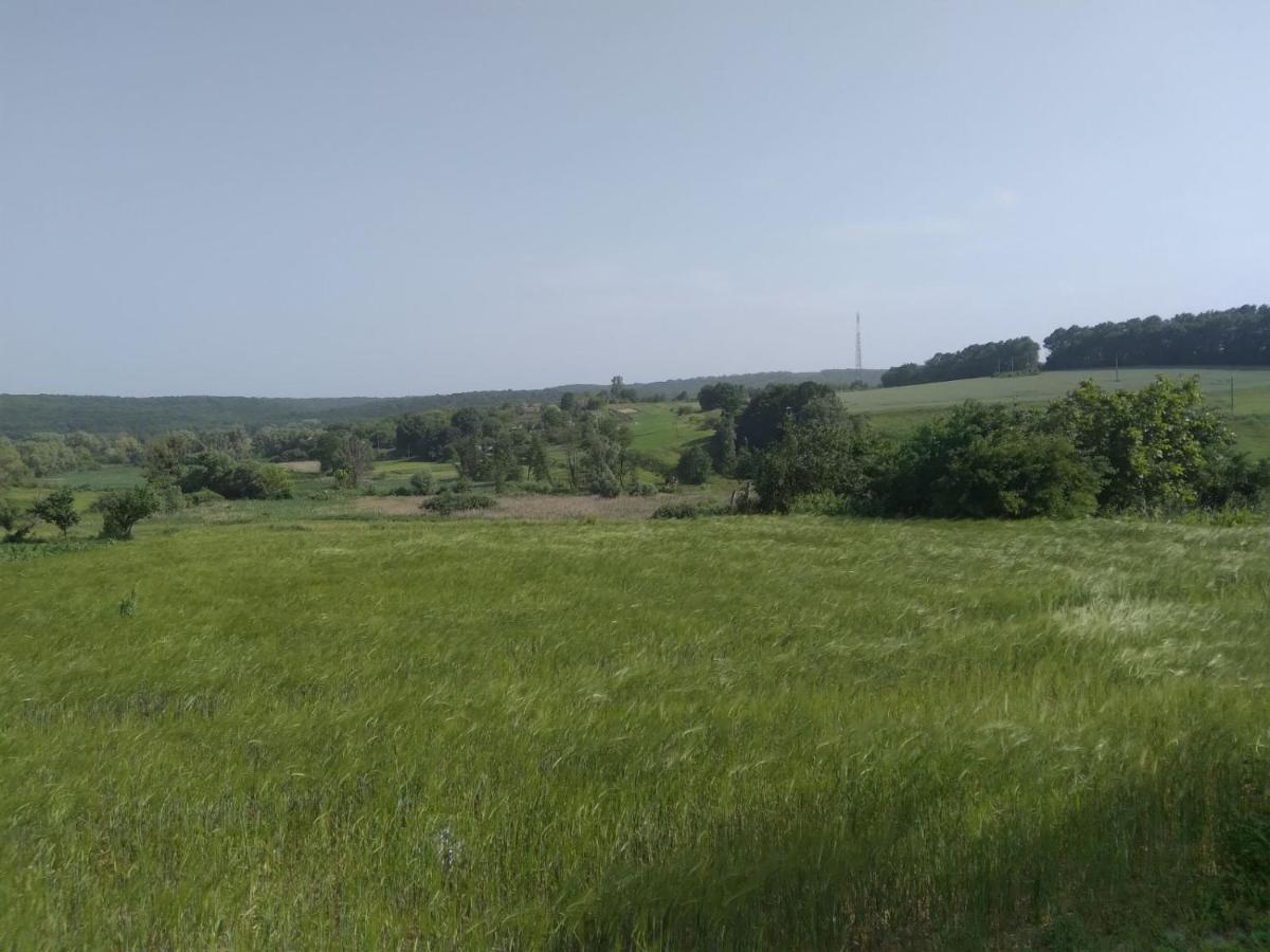 Соколине Гніздо Villa Dmitrenki Eksteriør bilde