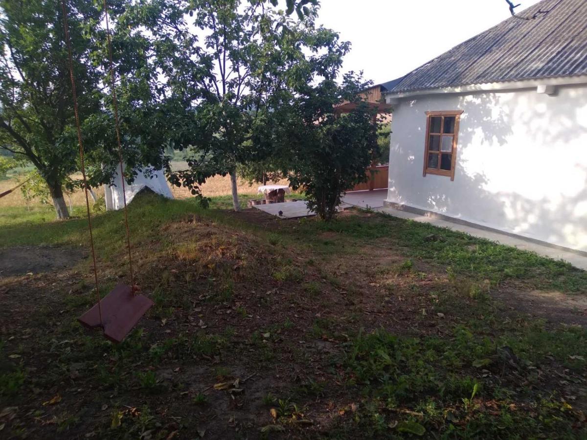 Соколине Гніздо Villa Dmitrenki Eksteriør bilde