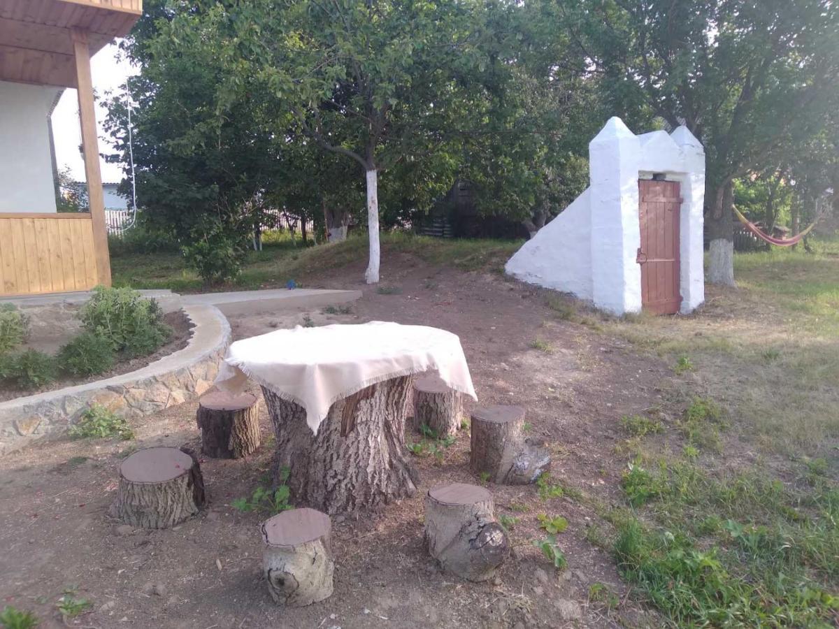 Соколине Гніздо Villa Dmitrenki Eksteriør bilde