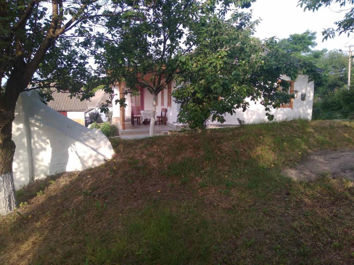 Соколине Гніздо Villa Dmitrenki Eksteriør bilde