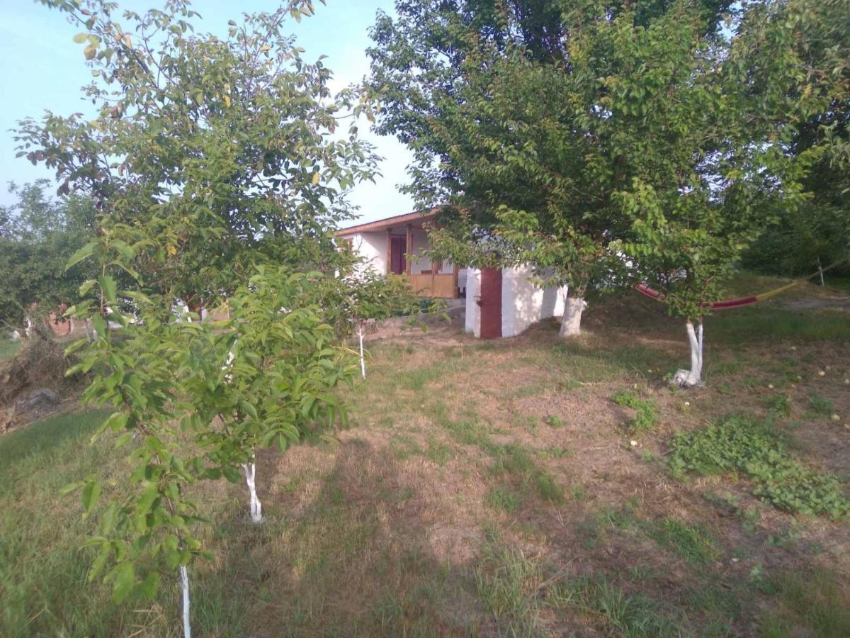 Соколине Гніздо Villa Dmitrenki Eksteriør bilde